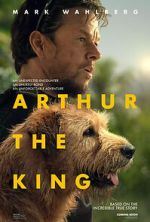 Watch Arthur the King Online Solarmovie