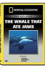 Watch Predator CSI The Whale That Ate Jaws Solarmovie