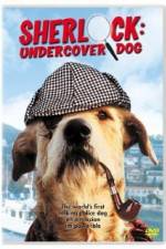Watch Sherlock Undercover Dog Solarmovie