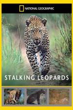 Watch National Geographic: Stalking Leopards Solarmovie