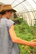 Watch Green House Seeds Strain Hunters India Expedition Solarmovie