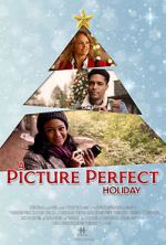Watch A Picture Perfect Holiday Solarmovie