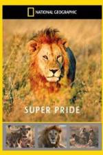 Watch National Geographic: Super Pride Africa\'s Largest Lion Pride Solarmovie