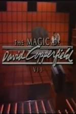Watch The Magic of David Copperfield VII Familares Solarmovie