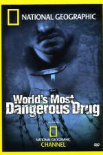 Watch Worlds Most Dangerous Drug Solarmovie