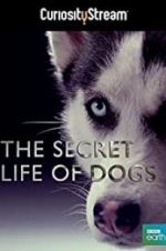 Watch Secret Life of Dogs Solarmovie