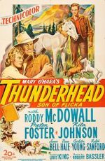 Watch Thunderhead: Son of Flicka Solarmovie