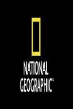 Watch National Geographic Wild Animal Attacks On Vacation Solarmovie