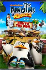Watch Penguins of Madagascar New to the Zoo Solarmovie