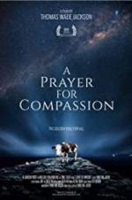 Watch A Prayer for Compassion Solarmovie
