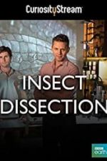 Watch Insect Dissection: How Insects Work Solarmovie