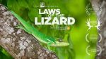 Watch Laws of the Lizard Solarmovie