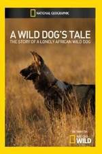 Watch A Wild Dogs Tale Solarmovie