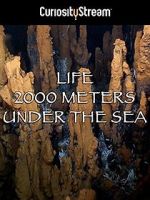 Watch Life 2,000 Meters Under the Sea Solarmovie