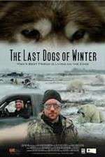 Watch The Last Dogs of Winter Solarmovie
