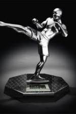 Watch World MMA Awards 2010 Solarmovie