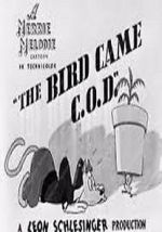 Watch The Bird Came C.O.D. (Short 1942) Solarmovie