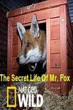 Watch The Secret Life of Mr. Fox Solarmovie