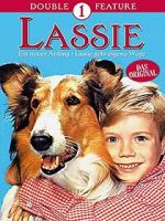 Watch Lassie: A New Beginning Solarmovie