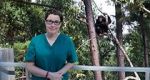 Watch Sue Perkins and the Chimp Sanctuary Solarmovie
