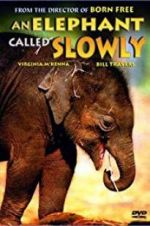 Watch An Elephant Called Slowly Solarmovie