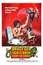 Watch Bruce Lee Fights Back from the Grave Solarmovie
