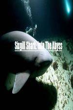 Watch National Geographic Wild Sixgill Shark Into The Abyss Solarmovie