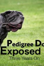 Watch Pedigree Dogs Exposed, Three Years On Solarmovie
