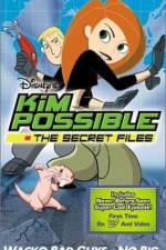 Watch "Kim Possible" Attack of the Killer Bebes Solarmovie