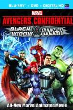 Watch Avengers Confidential: Black Widow & Punisher Solarmovie