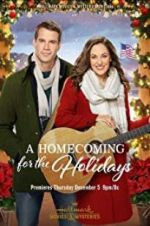 Watch A Homecoming for the Holidays Solarmovie