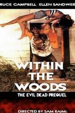 Watch Within the Woods Solarmovie
