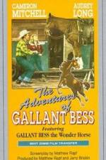 Watch Adventures of Gallant Bess Solarmovie