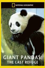 Watch National Geographic Giant Pandas The Last Refuge Solarmovie
