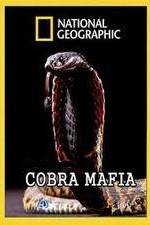 Watch National Geographic Cobra Mafia Solarmovie