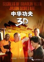 Watch Secrets of Shaolin with Jason Scott Lee Solarmovie