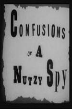Watch Confusions of a Nutzy Spy Solarmovie