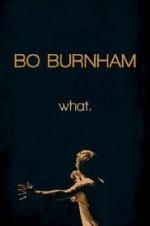 Watch Bo Burnham: what. Solarmovie