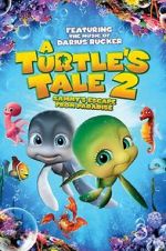 Watch A Turtle\'s Tale 2: Sammy\'s Escape from Paradise Solarmovie