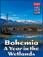 Watch Bohemia: A Year in the Wetlands Solarmovie