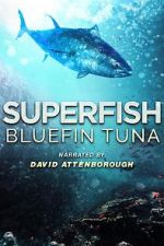 Watch Superfish Bluefin Tuna Solarmovie