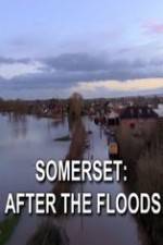 Watch Somerset: After the Floods Solarmovie