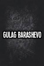 Watch Gulag Barashevo Solarmovie