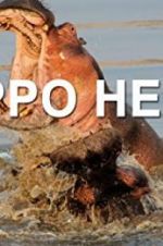 Watch Hippo Hell Solarmovie
