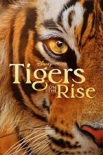 Watch Tigers on the Rise Solarmovie