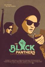Watch The Black Panthers Vanguard of the Revolution Solarmovie