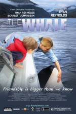 Watch The Whale Solarmovie
