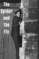 Watch The Spider and the Fly Solarmovie