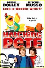 Watch Hatching Pete Solarmovie