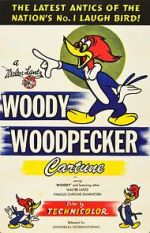 Watch The Woody Woodpecker Polka Solarmovie